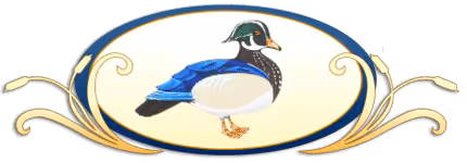 The Wooden Duck